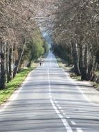 path street