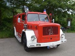 fire truck near the forest