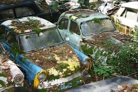 old car cemetery