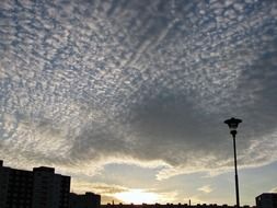 cirrus clouds in the sky at dusk