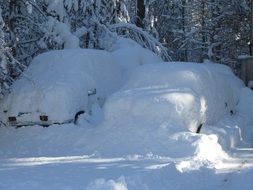 cars coverd with snow