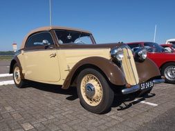 variety of vintage cars in the open air museum