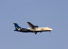 the plane soars in the sky