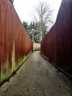 tunnel between the fence