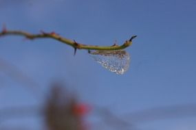 ice road