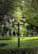 vintage street lantern in park