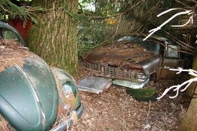 cemetery old car