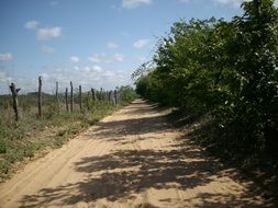 dirty path in countryside, Brazil