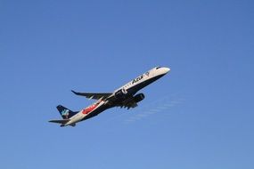 plane taking off against the sky