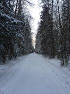 winter road in Russia