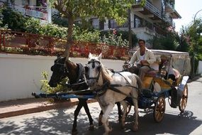 carriage rides in Turkey