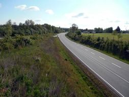 asphalt road near green bushes