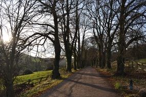 Countryside road in England