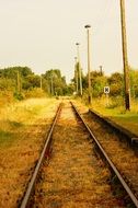 railroad in yellow leaves