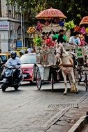 horse carriage riding in Mumbai, India