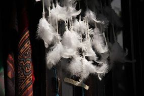 white feathers in shop displey