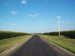 asphalt road with green grass on the side of the road on a sunny day