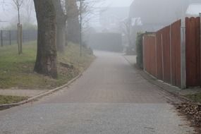 landscape of foggy street in the morning