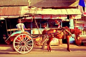 horse carriage as a traditional transport