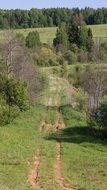 Trail near the trees in the countryside