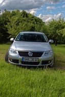 gray car on green grass