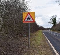 sign road warning horse