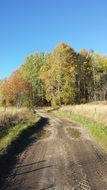 road among green meadows