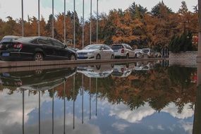 cars on a pond bank