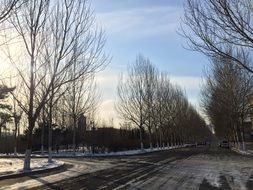 snowy street near the university