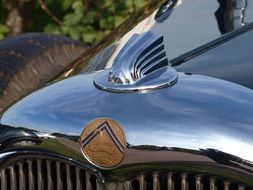 emblem on the hood of a car