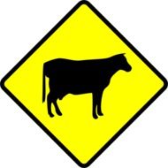 yellow sign with a image of a cow