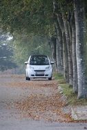 white small car