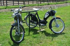 motorcycles stand on green grass
