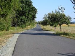 paved road on a farm