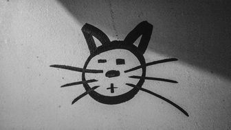 cat like graffiti on the wall