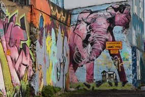 image of an elephant on graffiti