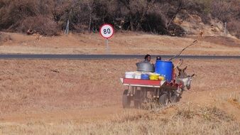 donkey cart on the way