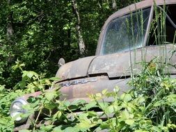 rusted metal auto in the forest