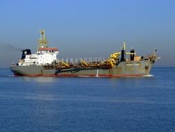 Barents Zanen in the sea