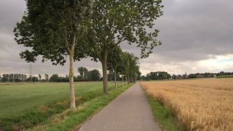 road forward through fields beneath thunderstorm clouds at summer