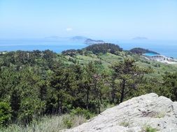 view from the mountain to the green trees