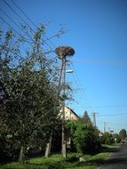 stork nest on pillar