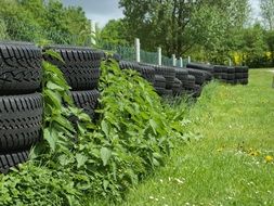 auto tires sprouted grass