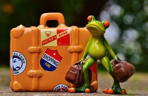 green frog near the suitcase