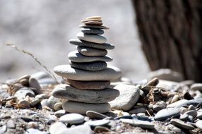 stones laid out on the beach
