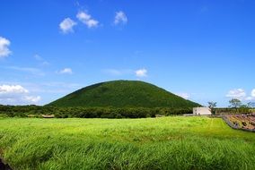 Jeju island natural recreation forest