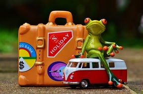funny travel frog on holiday