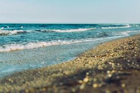 sandy beach of ocean