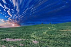 countryside meadow