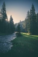 river stream in the sunset